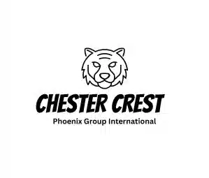 Bold rounded typography logo mark